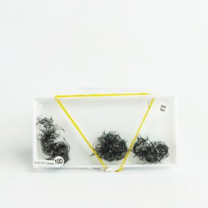 Luxury Lashes 10D 12mm 0.07 D-curl- 1000 fans