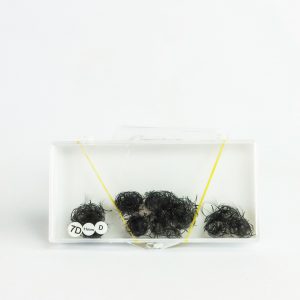 Luxury Lashes 7D 11mm 0.07 D-curl - 1000 fans