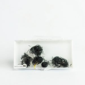 Luxury Lashes 8D 12mm 0.07 D-curl - 1000 fans