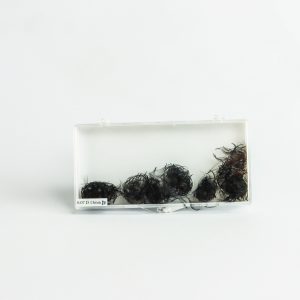 Luxury Lashes 8D 13mm 0.07 D-curl - 1000 fans