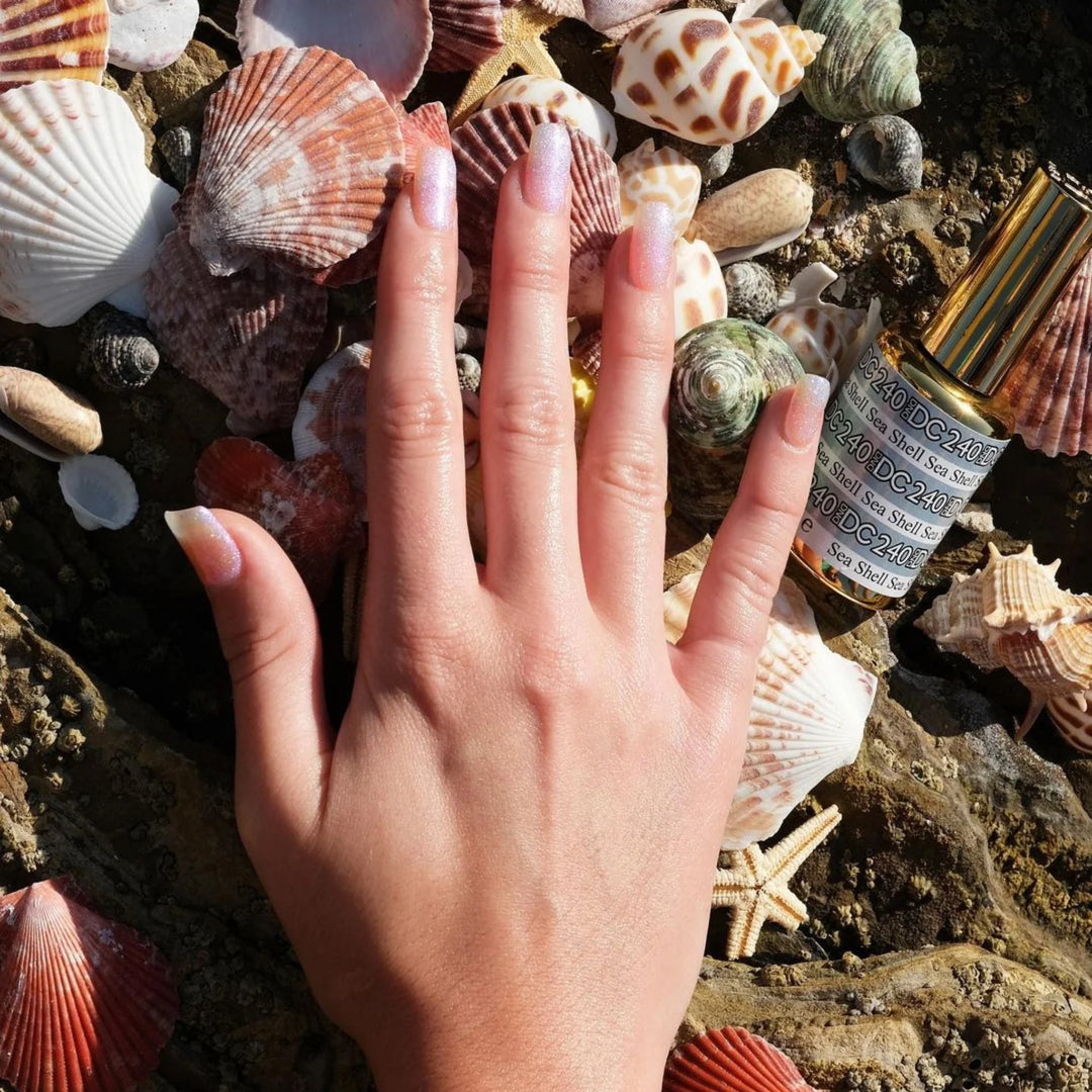 #240 DND DC Mermaid Sea Shell