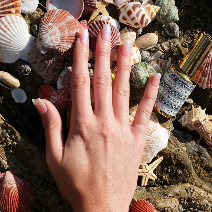 #240 DND DC Mermaid Sea Shell